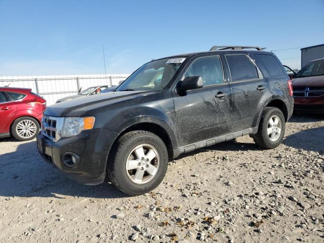 FORD ESCAPE XLT 2010 with VIN 1FMCU0D70AKD31302 - Photo from auction