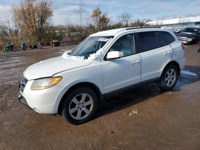 HYUNDAI SANTA FE S 2008 with VIN 5NMSH73E68H185975 - Photo from auction