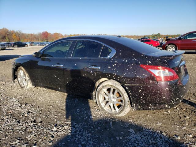 Photo 2 from auction – 2010 NISSAN MAXIMA S with VIN 1N4AA5AP5AC851226