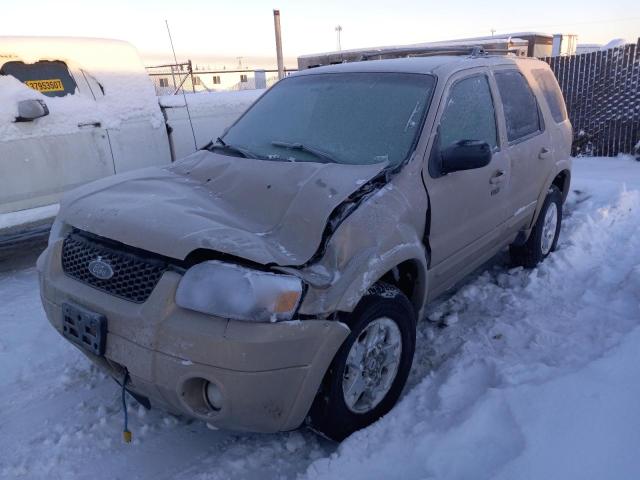 FORD ESCAPE LIM 2007 with VIN 1FMYU94117KA10111 - Photo from auction