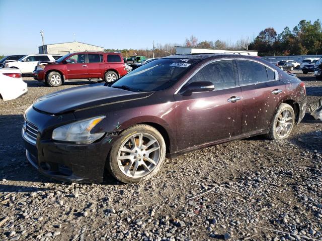 NISSAN MAXIMA S 2010 with VIN 1N4AA5AP5AC851226 - Photo from auction