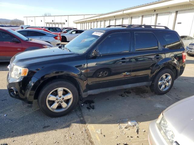 FORD ESCAPE XLT 2010 with VIN 1FMCU9DG4AKB30054 - Photo from auction