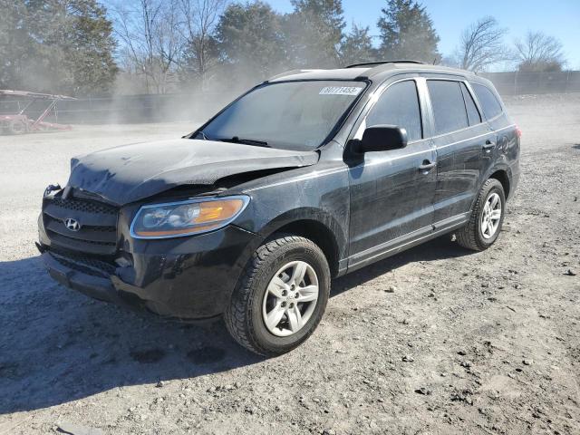 HYUNDAI SANTA FE G 2009 with VIN 5NMSG13D69H318808 - Photo from auction