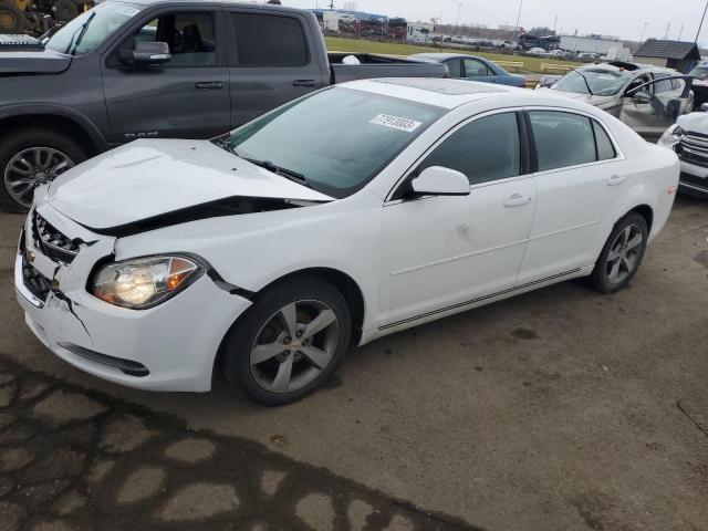 CHEVROLET MALIBU 1LT 2011 with VIN 1G1ZC5E16BF307789 - Photo from auction