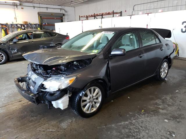 TOYOTA COROLLA BA 2009 with VIN JTDBL40E399074220 - Photo from auction