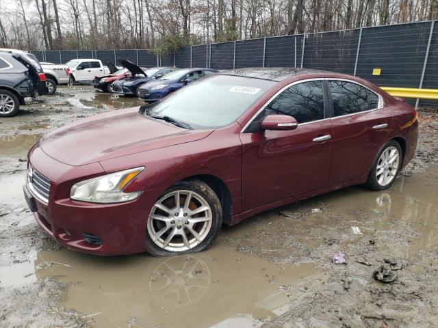 NISSAN MAXIMA S 2011 with VIN 1N4AA5AP8BC840030 - Photo from auction