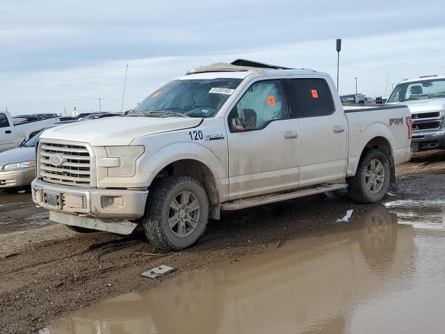 FORD F150 SUPER 2016 with VIN 1FTEW1EF8GKE23303 - Photo from auction