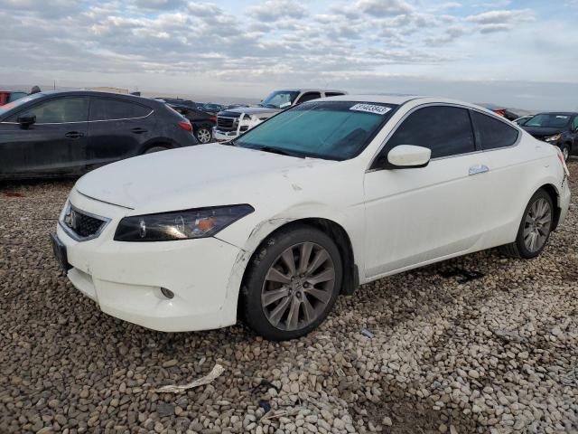 HONDA ACCORD EXL 2010 with VIN 1HGCS2B88AA004722 - Photo from auction