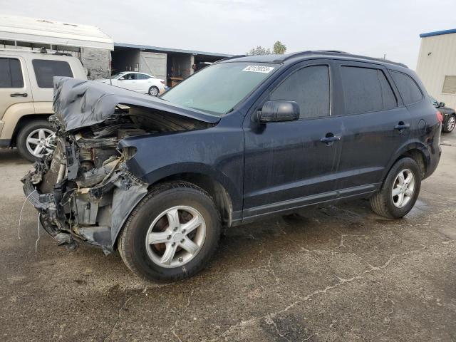HYUNDAI SANTA FE G 2007 with VIN 5NMSG13D07H060959 - Photo from auction