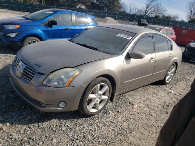 NISSAN MAXIMA SE 2006 with VIN 1N4BA41E36C824546 - Photo from auction