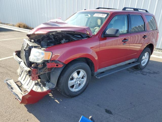 FORD ESCAPE XLT 2009 with VIN 1FMCU93G29KB61672 - Photo from auction