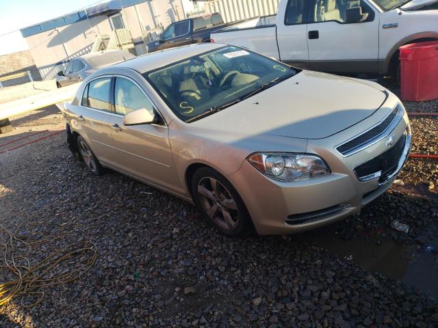 Photo 4 from auction – 2011 CHEVROLET MALIBU 1LT with VIN 1G1ZC5EU9BF108312