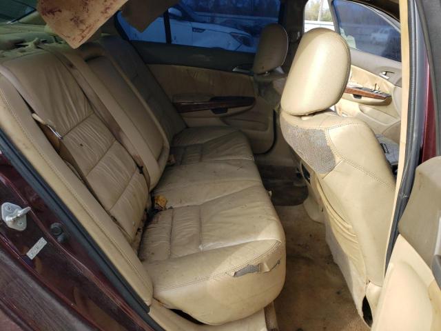 Photo 10 from auction – 2010 HONDA ACCORD EXL with VIN 5KBCP3F88AB018418