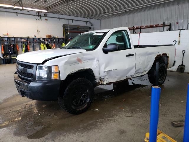 CHEVROLET SILVERADO 2011 with VIN 1GCNCPEX6BZ435695 - Photo from auction