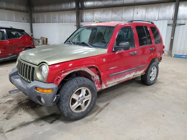 JEEP LIBERTY SP 2003 with VIN 1J4GL48K13W625618 - Photo from auction
