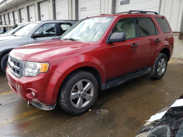 FORD ESCAPE XLT 2012 with VIN 1FMCU0D71CKA33019 - Photo from auction