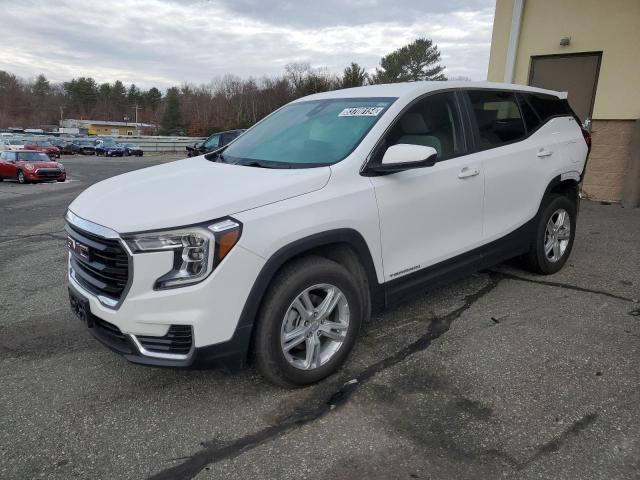 GMC TERRAIN SL 2023 with VIN 3GKALTEG8PL197343 - Photo from auction
