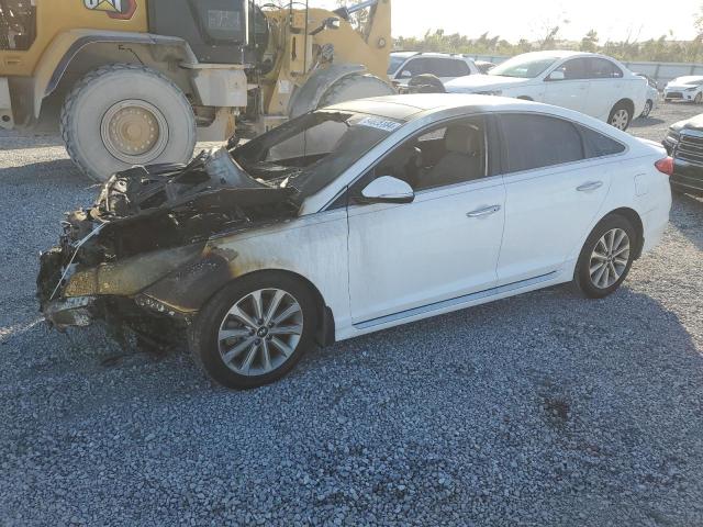 HYUNDAI SONATA SPO 2016 with VIN 5NPE34AF6GH369658 - Photo from auction