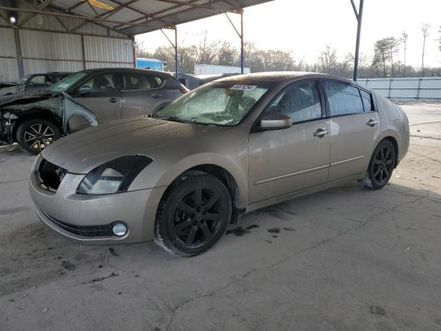 NISSAN MAXIMA SE 2004 with VIN 1N4BA41E24C910038 - Photo from auction