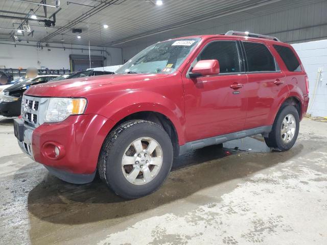FORD ESCAPE 2011 with VIN 1FMCU9EG4BKB29695 - Photo from auction