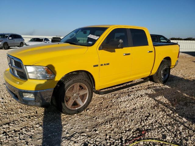 DODGE RAM 1500 2009 with VIN 1D3HB13T39S749599 - Photo from auction