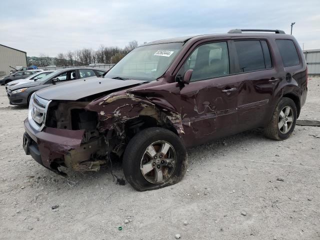 HONDA PILOT EXL 2009 with VIN 5FNYF48519B056519 - Photo from auction
