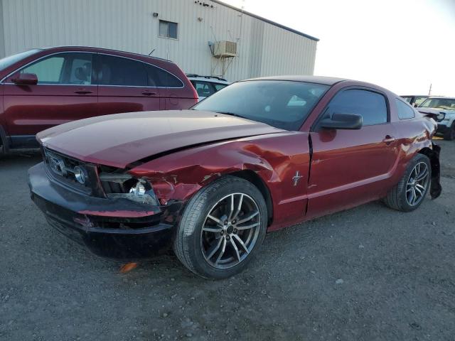 FORD MUSTANG 2007 with VIN 1ZVFT80N575317181 - Photo from auction