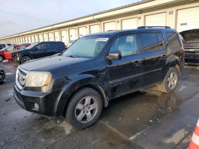 HONDA PILOT EXL 2011 with VIN 5FNYF4H55BB024999 - Photo from auction