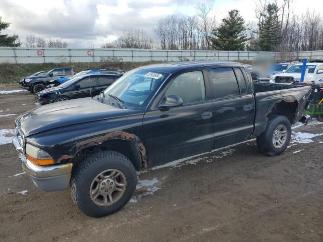DODGE DAKOTA QUA 2004 with VIN 1D7HG48N74S643600 - Photo from auction
