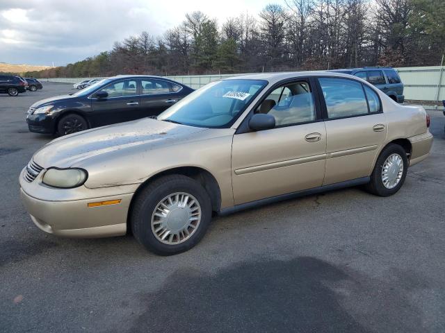 CHEVROLET MALIBU 2002 with VIN 1G1ND52J82M641494 - Photo from auction
