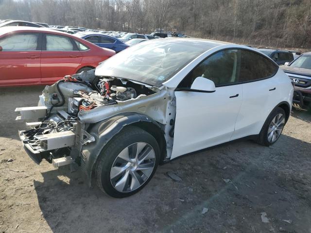 TESLA MODEL Y 2023 with VIN 7SAYGDEE0PA103103 - Photo from auction