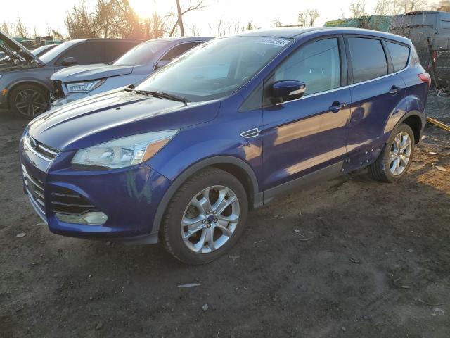 FORD ESCAPE SEL 2013 with VIN 1FMCU0H99DUD71222 - Photo from auction