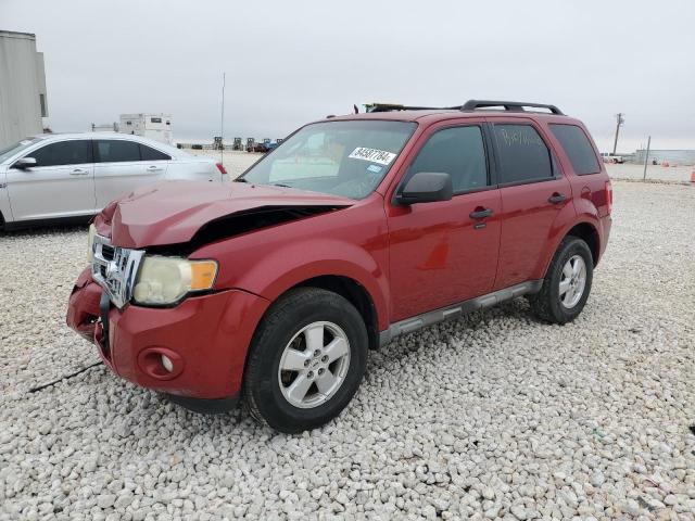 FORD ESCAPE XLT 2010 with VIN 1FMCU0DG4AKB62420 - Photo from auction
