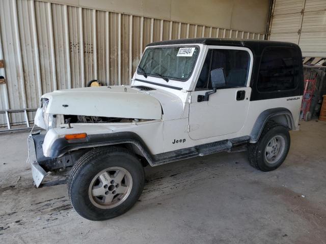 Photo 1 from auction – 1995 JEEP WRANGLER / with VIN 1J4FY29SXSP309742