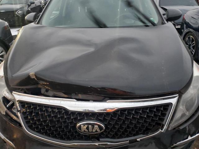 Photo 12 from auction – 2015 KIA SPORTAGE L with VIN KNDPB3AC8F7716860
