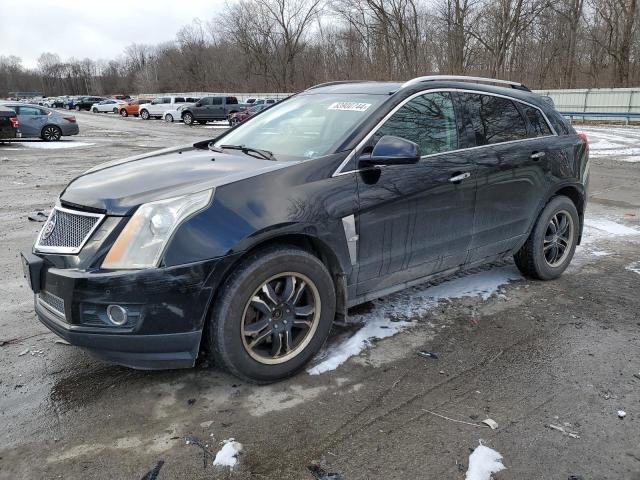 CADILLAC SRX PERFOR 2011 with VIN 3GYFNJE65BS586795 - Photo from auction