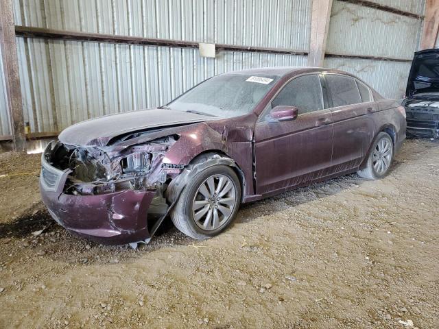 Photo 1 from auction – 2011 HONDA ACCORD EXL with VIN 1HGCP2F86BA037991