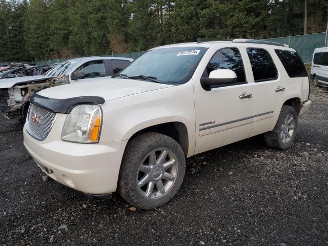 GMC YUKON DENA 2014 with VIN 1GKS2EEF4ER200707 - Photo from auction