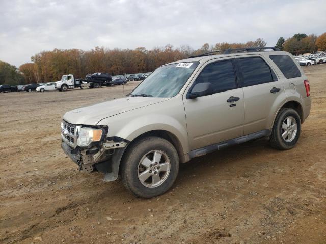 FORD ESCAPE XLT 2010 with VIN 1FMCU0DG8AKB64767 - Photo from auction