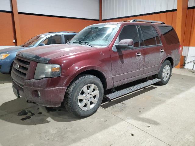FORD EXPEDITION 2009 with VIN 1FMFU20539LA08560 - Photo from auction