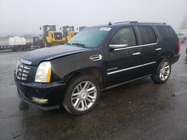 CADILLAC ESCALADE P 2010 with VIN 1GYUKCEF1AR159241 - Photo from auction