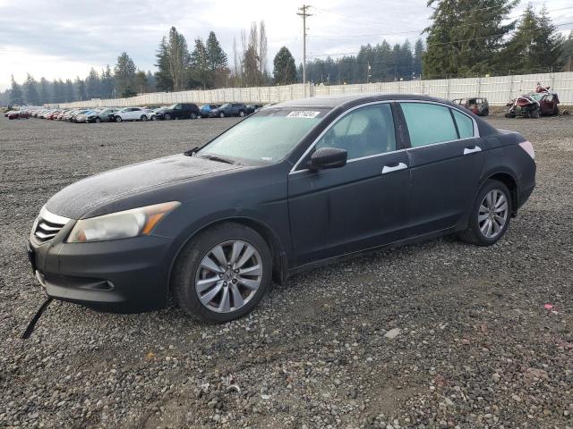 HONDA ACCORD EXL 2011 with VIN 1HGCP3F83BA014576 - Photo from auction