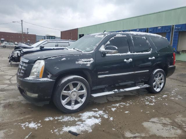 CADILLAC ESCALADE P 2010 with VIN 1GYUCCEF8AR218086 - Photo from auction