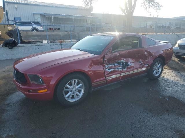 Photo 1 from auction – 2008 FORD MUSTANG with VIN 1ZVHT80N685193335