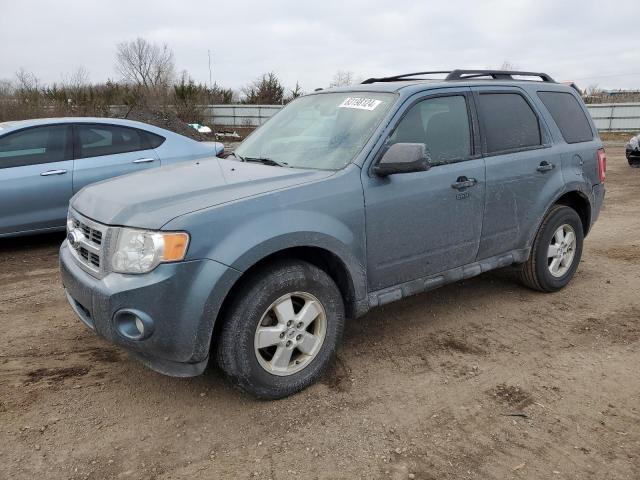 FORD ESCAPE XLT 2010 with VIN 1FMCU0D73AKC46065 - Photo from auction
