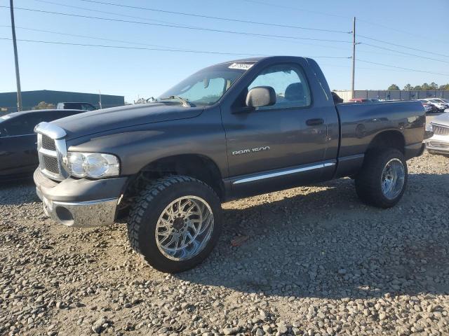 DODGE RAM 1500 2002 with VIN 1B7HA16N02J118586 - Photo from auction