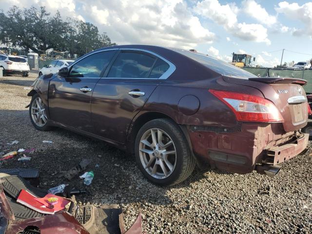 Photo 2 from auction – 2009 NISSAN MAXIMA S with VIN 1N4AA51E09C823828