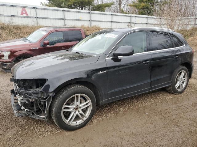 AUDI Q5 PREMIUM 2013 with VIN WA1DGAFP9DA088628 - Photo from auction