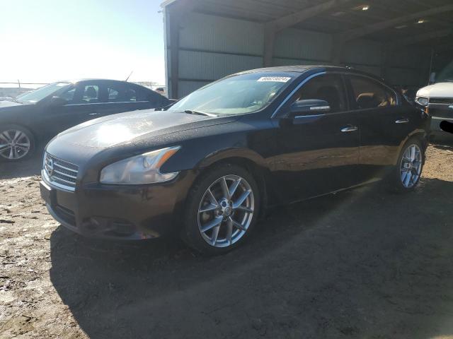 NISSAN MAXIMA S 2010 with VIN 1N4AA5AP0AC825987 - Photo from auction