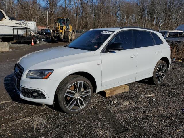 AUDI Q5 PREMIUM 2017 with VIN WA1D7AFP5HA041294 - Photo from auction